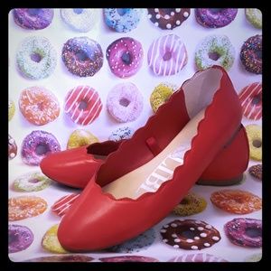 Red scallop flats